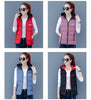 Autumn Winter Down Cotton Vest Women Short Jacket OuterWear All-Match Sleeveless Waistcoat Vests Woman Coat 3XL