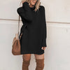 Customizable Turtleneck Loose Winter Dress Women Autumn Long Sleeve Solid Casual Sexy Mini Dress Female T Shirt Dress