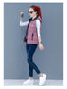 Autumn Winter Down Cotton Vest Women Short Jacket OuterWear All-Match Sleeveless Waistcoat Vests Woman Coat 3XL
