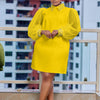 Women Loose Dresses Turn Down Collar with Beading Elegant Office Ladies Occasion Female Casual Long Tulle Sleeves Gowns