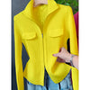 Zipper Short Knitted Cardigan Sweater Women's Spring Autumn Korean Versatile Coat Top Turn-Down Sweater Solid