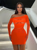 Women's Sexy Dress Hollow Out Nightclub Mesh Long Sleeve Dress