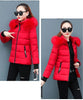 Women's Winter Parka Coat Korean Version Loose Lady Cotton Padded Outerwear Temperament Casual Ladies Down Cotton Jacket