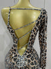 Sparkle Diamond Tassel One Shoulder Leopard Print Stretch Mini Dress Women Birthday Party Sexy Nightclub Stage Costume