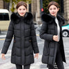 Women's Down Cotton Jacket Comfortable Elegant Ladies Winter Parka Coat Loose Temperament Lady Cotton Padded Outerwear