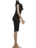 Sexy Applique See Through Dress Women Chic Single-Breasted Turtleneck Patchwork Elegant Party Club Bodycon