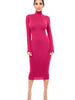 Winter Black Turtleneck Sexy Women Dress Autumn Long Sleeve Skinny Midi Boydcon Casual Blue Plush Knee-Length Party