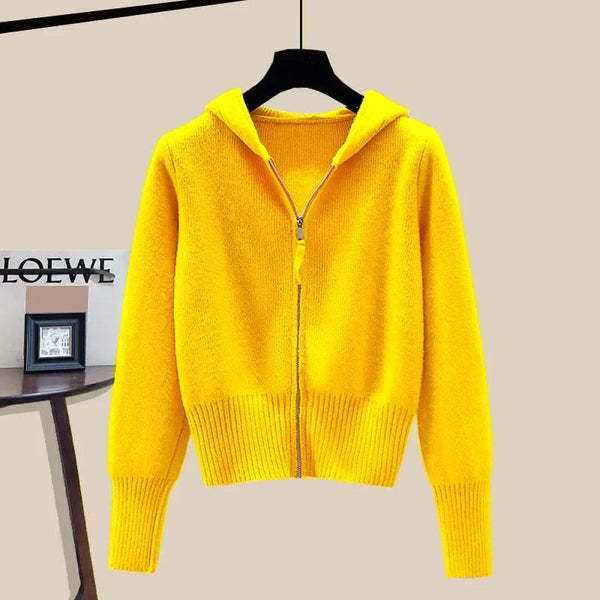 Autumn Winter Hooded Women's Knitwear Long Sleeve Zipper Slim Knitted Cardigan Female Casual Jacket Tops