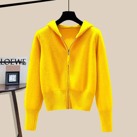 Autumn Winter Hooded Women's Knitwear Long Sleeve Zipper Slim Knitted Cardigan Female Casual Jacket Tops
