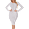 Women's Oil Glossy Long Sleeve Bodycon Dress Smooth Solid Color Round Neck Hip Wrap Tights Pencil Dress Rave Party Clubwear
