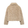 Women's Teddy Coat Faux Sheepskin Coats for Women Warm Winter Woman Coat Fluffy Jacket Women Short Hairy Coat Woman