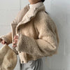 Korean Double-Sided Wear Lamb Fur Patchwork Down Cotton Jacket Women's Autumn Winter Short Big Lapel Student Bread Coat