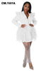 Vintage Women Single Breasted Notched Neck Puff Long Sleeve Mesh Cascading Ruffles Big Swing Blazer Dress Chic Vestidos