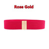 Women Elastic Band Wide Belts Simple Down Coat Waist Belt Female Buckle Black Strap Dress Decoration Accessories Ladies