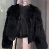 autumn and winter fur coat women's short style imitation fox fur Korean version versatile lace up thick top