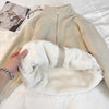 Fleece Jacket Women Autumn Winter Thick Double Sided Cardigan Loose Casual Lamb Wool Hoodie
