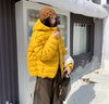 Fall Lightweight Hooded Puffer Jacket Russian Winter Women Zip Up Solid Warm Cotton Padded Outerwear Quilted Coat Куртка