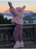 Women's Fluffy Faux Fur Coat Chic Pink Hooded Full Sleeve Loose Warm Jacket Winter Lady Street Outwear