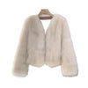 Autumn Winter V-Neck Korean Version Female Short Fur Coat Solid Color Beautiful Be All-match Ladies Outerwear