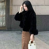 Korean Women Fur Thickening Outwear Advanced Female Faux Fur Coat Coat Autumn Winter Ladies Long Sleeves Plush Jacket