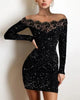 Spring Women's, Elegance, Leisure, Sexy Long sleeved Lace Edge, One Shoulder Silver Powder Sprinkled Dress