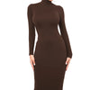 Winter Black Turtleneck Sexy Women Dress Autumn Long Sleeve Skinny Midi Boydcon Casual Blue Plush Knee-Length Party