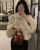 Korean Women Fur Thickening Outwear Advanced Female Faux Fur Coat Coat Autumn Winter Ladies Long Sleeves Plush Jacket