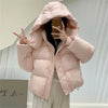 Parkas Women Winter Down Cotton Jacket Coat Ladies Hooded Outwear Parka Thick Cotton Padded Female Warm Overcoat