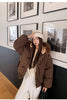 Warm Down jacket Ladies Pai Overcome Winter Cotton Padded Coat Women Parkas Horn Hooded Outcoat Big fur collar Overcoat