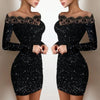 Spring Women's, Elegance, Leisure, Sexy Long sleeved Lace Edge, One Shoulder Silver Powder Sprinkled Dress
