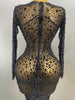 Sexy Shinny Rhinestone Stretch Mesh Transparent Long Dress 2025New Women Evening Birthday Party Prom Nightclub Singer Stage Wear