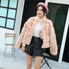 Women's Fur Integrated Jacket Autumn Winter Short Imitation Mink Fur Coat Versatile Velvet Tops Female Outerwear Clothes