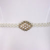 Dresses for Woman O Neck Full Sleeve Belt Waisted High Waisted Pleated A Line Ankle Length Elegant Female Birthday Gowns