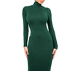 Winter Black Turtleneck Sexy Women Dress Autumn Long Sleeve Skinny Midi Boydcon Casual Blue Plush Knee-Length Party