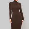 Winter Black Turtleneck Sexy Women Dress Autumn Long Sleeve Skinny Midi Boydcon Casual Blue Plush Knee-Length Party
