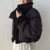 Korean Double-Sided Wear Lamb Fur Patchwork Down Cotton Jacket Women's Autumn Winter Short Big Lapel Student Bread Coat