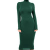 Winter Black Turtleneck Sexy Women Dress Autumn Long Sleeve Skinny Midi Boydcon Casual Blue Plush Knee-Length Party