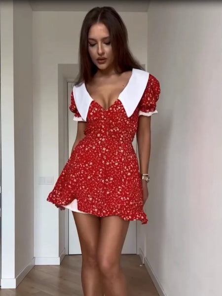 Red Floral Print Peter Pan Collar Dress Women Puff Sleeve V Neck Button Down A-line Mini Dress Lady Weekend Getaway Robe
