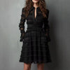Sexy Sheer Mesh Fringe Trim Mini Dress Women Turn-Down Collar Party Dress Spring Autumn Long Sleeve Ruched A-Line Dress