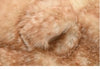 Autumn Winter Thick Warm Sweet Cute Lace Patchwork Faux Fur Coat Hoodie Women with Deer Ears Horn Buttons Fluffy Jacket