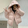 Parkas Women Winter Down Cotton Jacket Coat Ladies Hooded Outwear Parka Thick Cotton Padded Female Warm Overcoat
