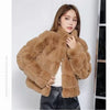 Women's Fur Integrated Jacket Autumn Winter Short Imitation Mink Fur Coat Versatile Velvet Tops Female Outerwear Clothes