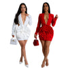Women Rose Floral Applique Long Sleeve Bodycon Mini Midi Dress Winter V-neck Club Sexy Party Evening Dresses Vestidos