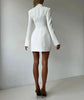 Long Sleeve Single-breasted Sexy Mini Blazer Dress Women Turtleneck Two Pocket Club Party Blazers Dress Office Lady