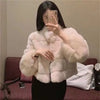 Korean Women Fur Thickening Outwear Advanced Female Faux Fur Coat Coat Autumn Winter Ladies Long Sleeves Plush Jacket