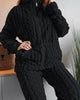 Two Piece Set Women Outfit Autumn Jacquard Textured Stand Collar Long Sleeve Zip Up Fuzzy Teddy Top & Casual Home Pants Set