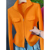 Zipper Short Knitted Cardigan Sweater Women's Spring Autumn Korean Versatile Coat Top Turn-Down Sweater Solid