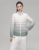 Woman 90% Duck Down Coats Winter Stand Collar Jacket Gradient Slim Fit Ultra Lightweight Keep Warm Daily Sports Jackets