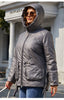 Spring Women Parkas Plus Size Short Grey Padded Down Coats Hooded Women's Jacket Outerwear Quilted AM-10075