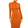 Winter Black Turtleneck Sexy Women Dress Autumn Long Sleeve Skinny Midi Boydcon Casual Blue Plush Knee-Length Party